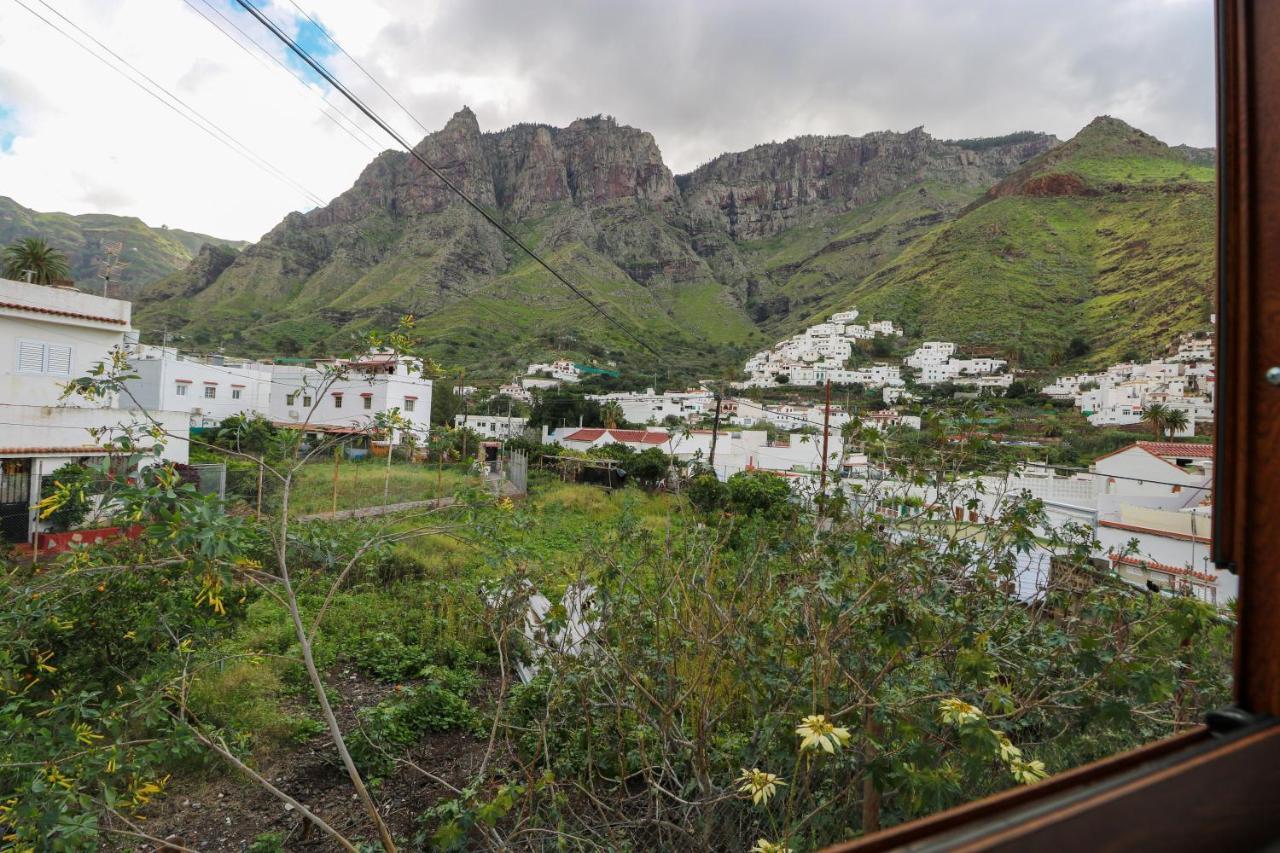 Valley Views Apartment In Agaete Agaete  Extérieur photo